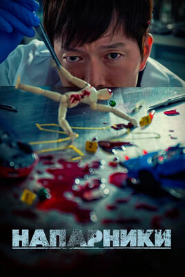 Ver Socios por la Justicia Partners for Justice online