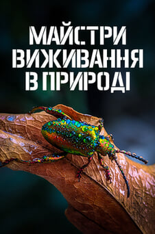 Дивитися Майстри виживання в природі онлайн