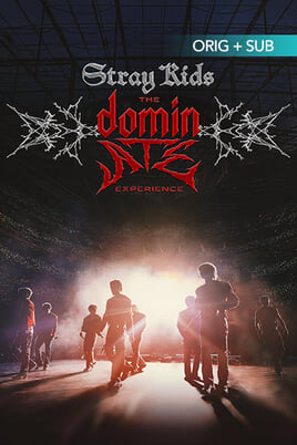 Stray Kids: The dominATE Experience