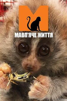 Дивитися Мавпʼяче життя онлайн