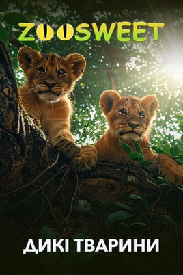 Žiūrėti Zoosweet Wild Animals internete