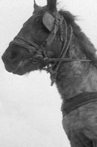 Фильмы с актером Ричи