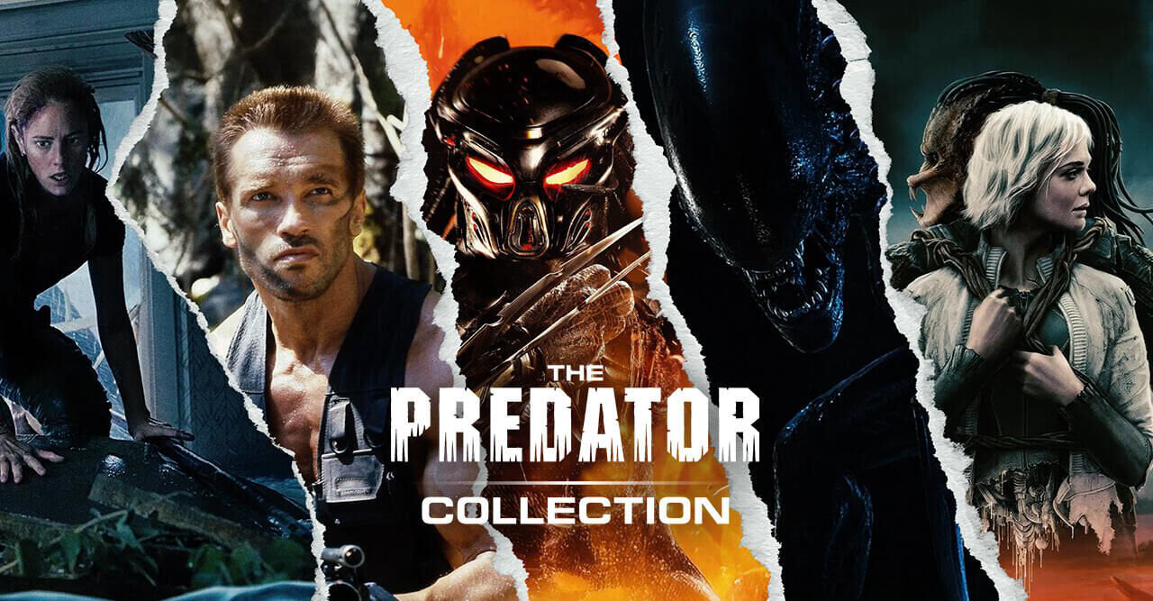 THE PREDATOR: collection