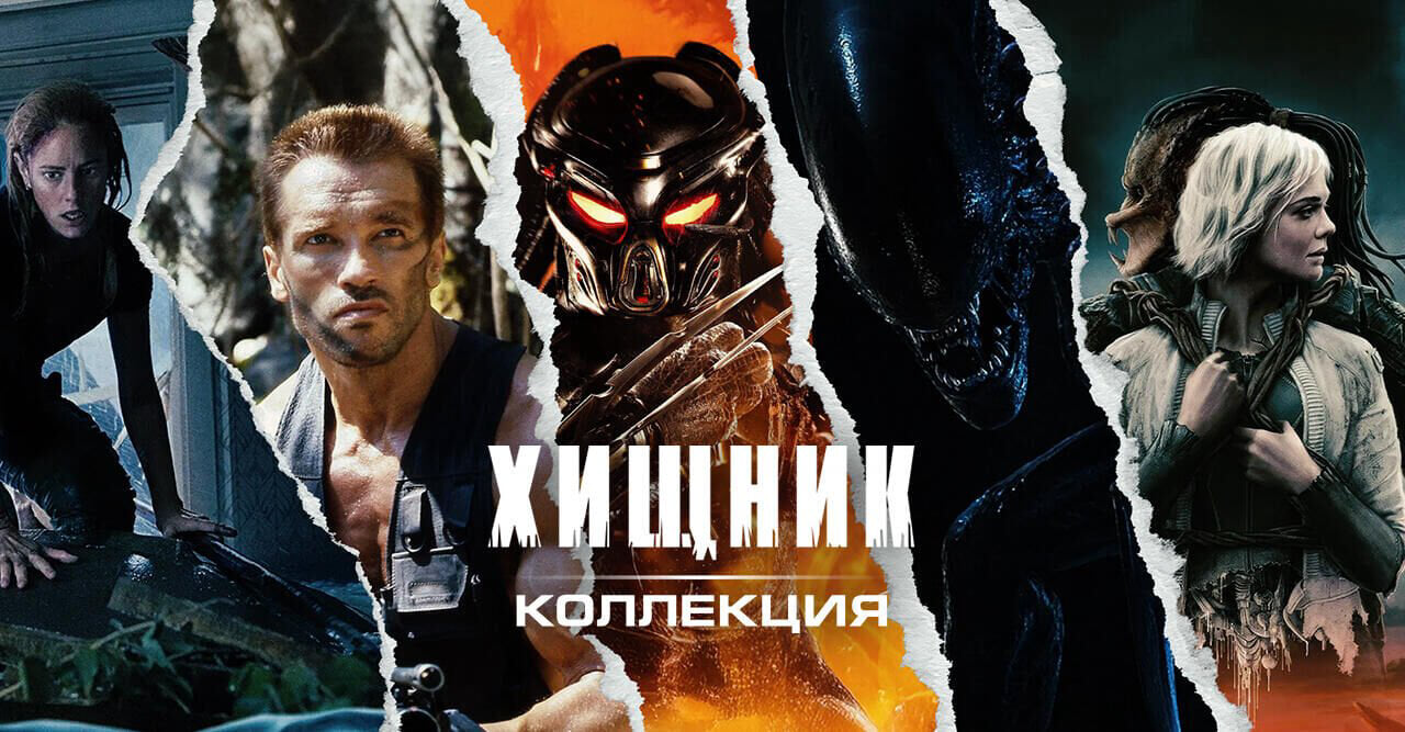 THE PREDATOR: collection