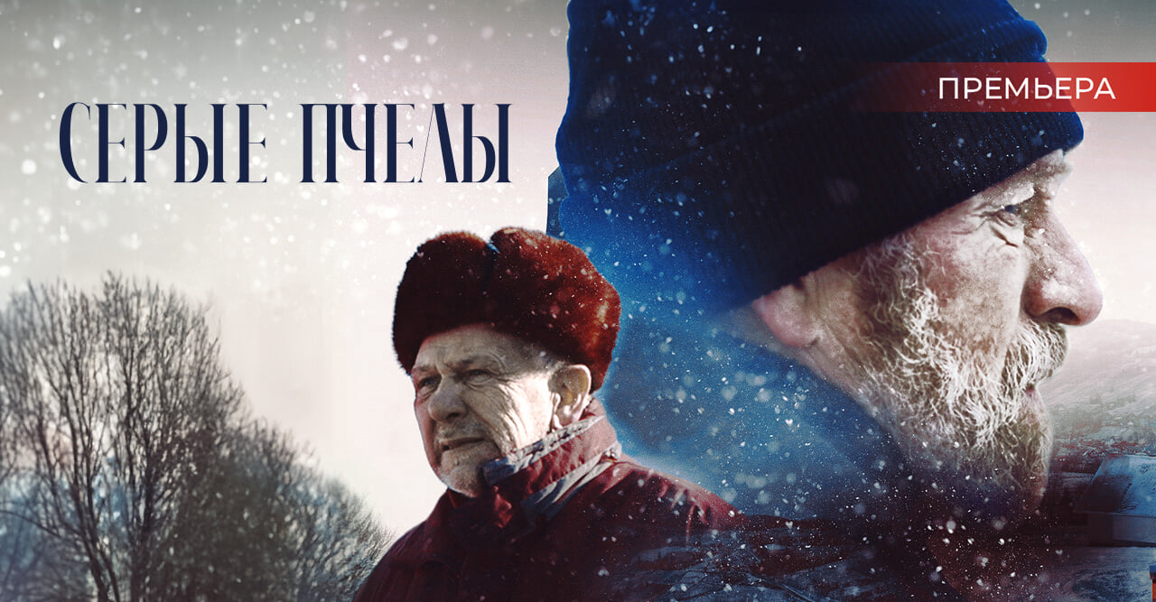 Серые пчелы