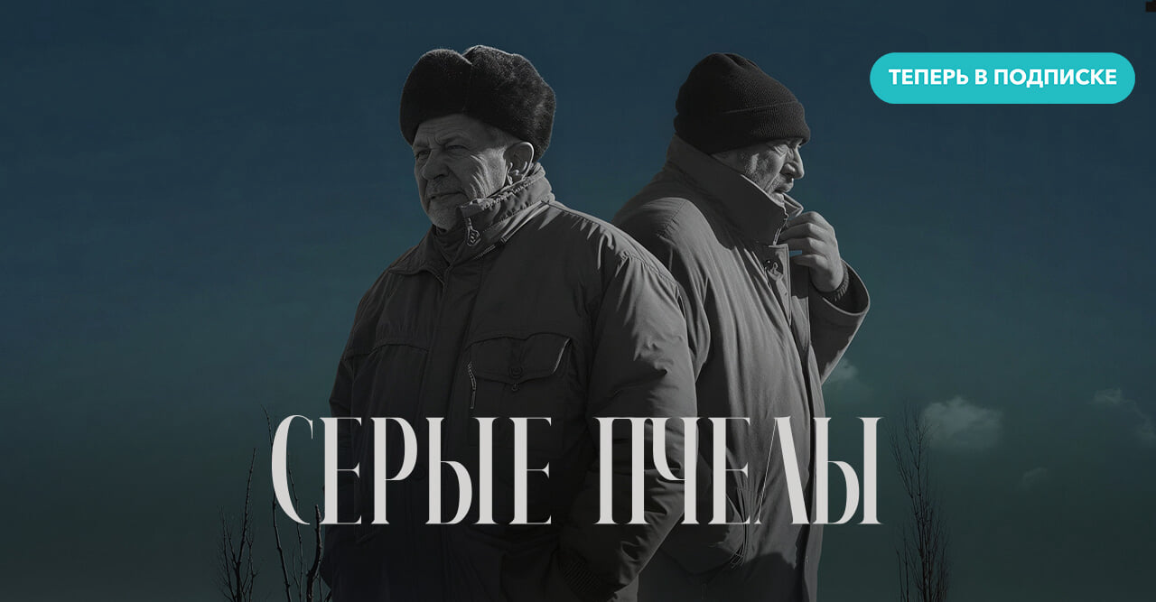 Серые пчелы