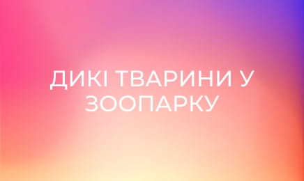 Дикі тварини у зоопарку Сан Дієго