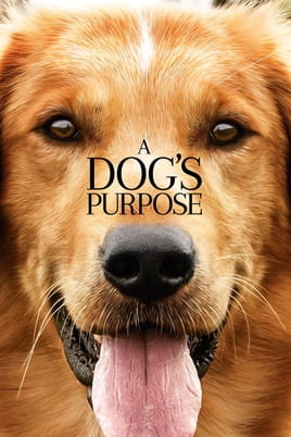 Watch A Dog's Purpose online