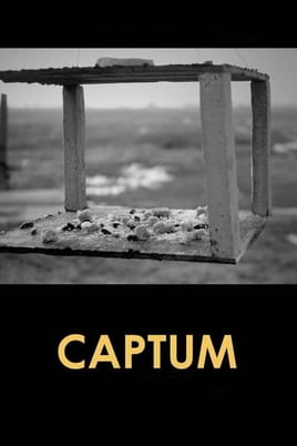 Watch Captum online
