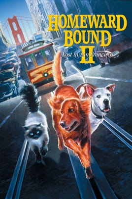 Watch Homeward Bound II: Lost in San Francisco online