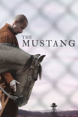 Watch The Mustang online