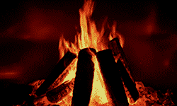 TRINITY-TV Fireplace 4K
