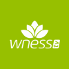 WNESSTV HD