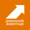 Домашние животные