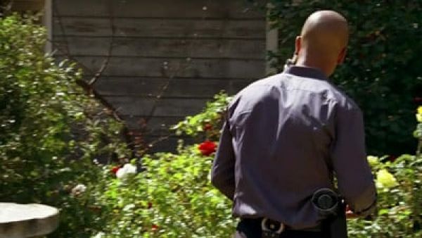 Criminal Minds: Season 4 (2008) - episode 24