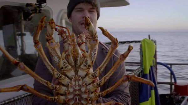 Aussie Lobster Men (2019) – 2 season 6 episode