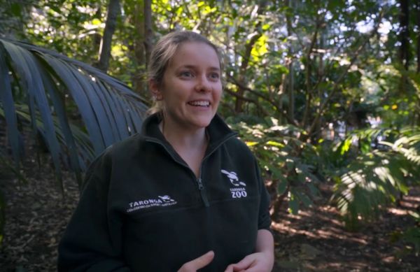 Inside Taronga Zoo (2019) – 2 season 5 episode