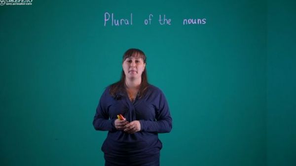13. Plural Of The Nouns