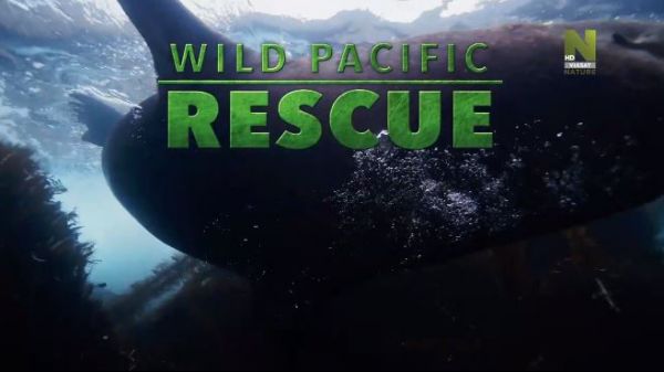 Wild Pacific Rescue (2022) - 3 episode