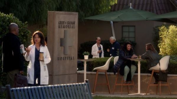 Grey's Anatomy (2013) – season 15 13 episode